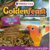 Higgins VL Goldenfeast S.American Bird Food - 3 Lbs