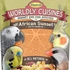 Higgins Worldly Cuisines African Sunset Bird Food - 2 Oz