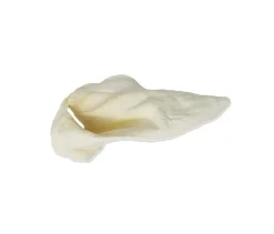Home Range Cow Ears Natural Dog Chews - Large - Case of 35