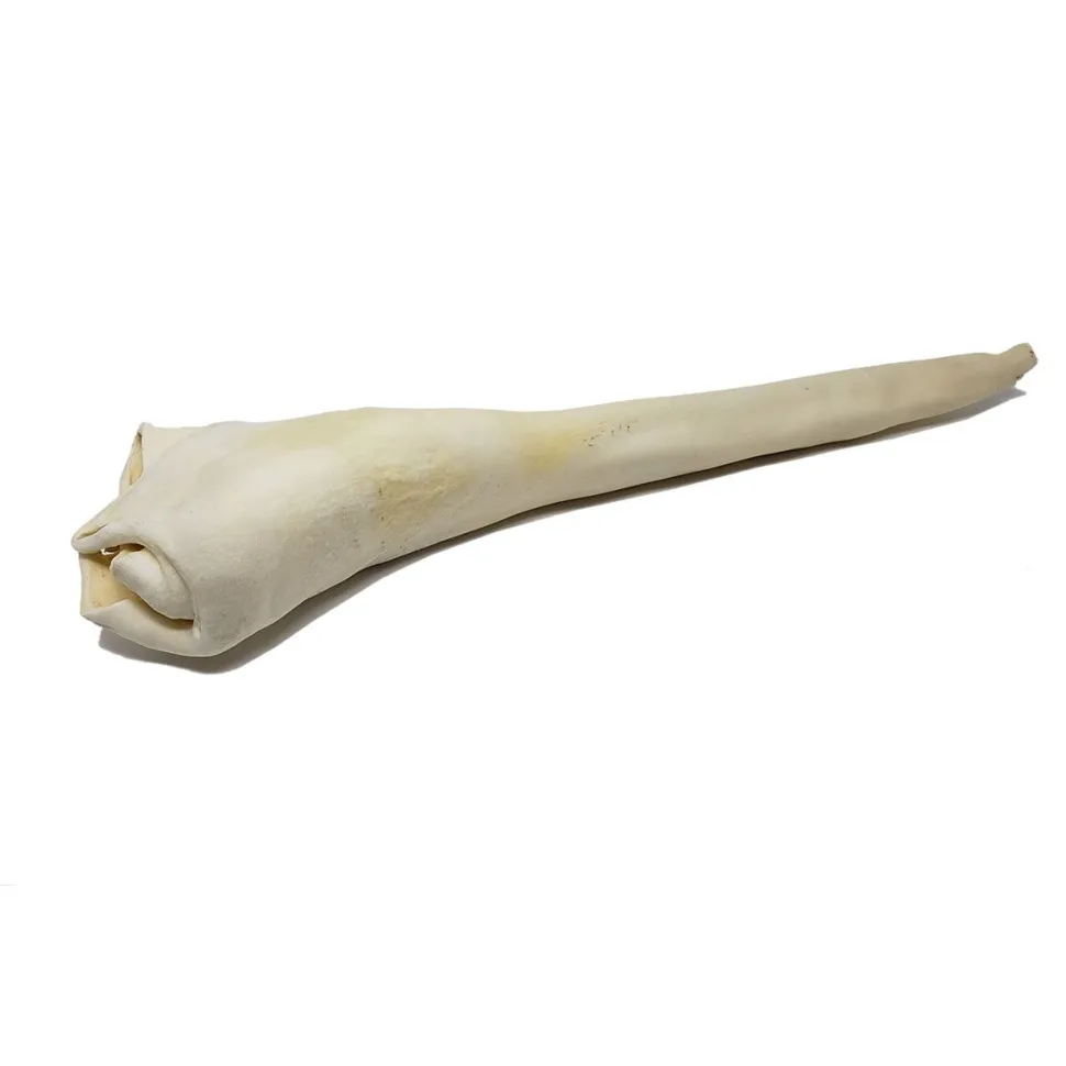 Home Range Full Length Bull Tail Natural Dog Chews - 22-24 In - Case of 20