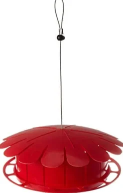 Humm-Bug Protein Hummingbird Feeder