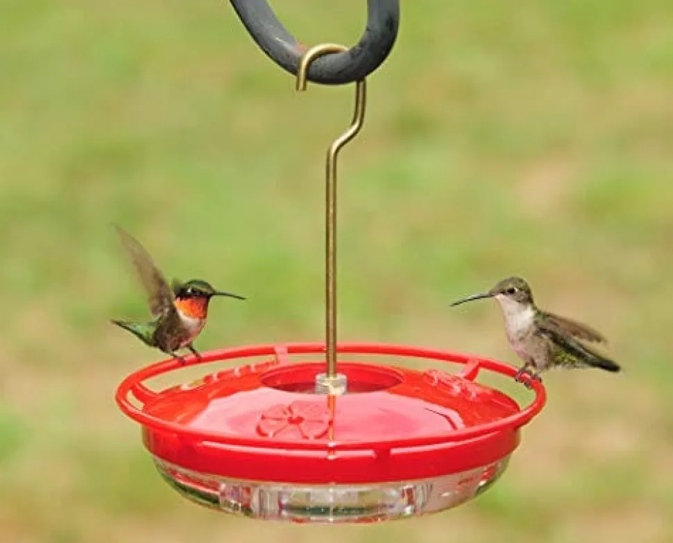 Hummzinger Highview Mini Hummingbird Feeder - Red/Clear - 8 Oz Cap