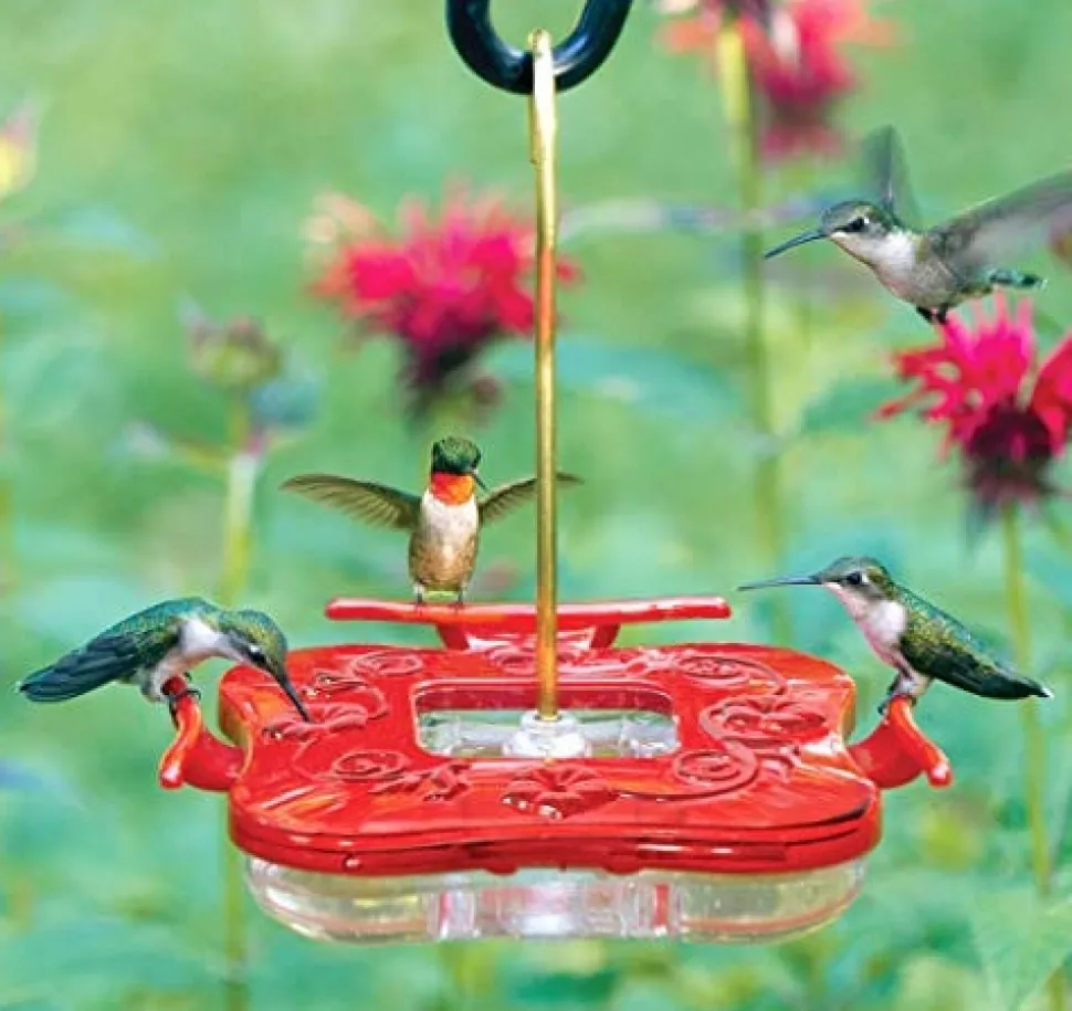 Hummzinger Highview Square Hummingbird Feeder - Red - 9 Oz Cap