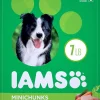Iams ProActive Health Mini Chunks Chicken and Whole Grain Adult Dry Dog Food - 7 lb Bag