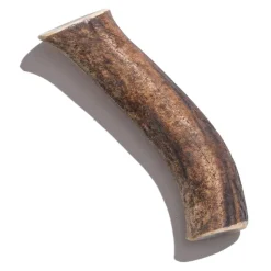 Jack & Pup Elk Whole Giant 6" Dog Natural Chews - 1 Each