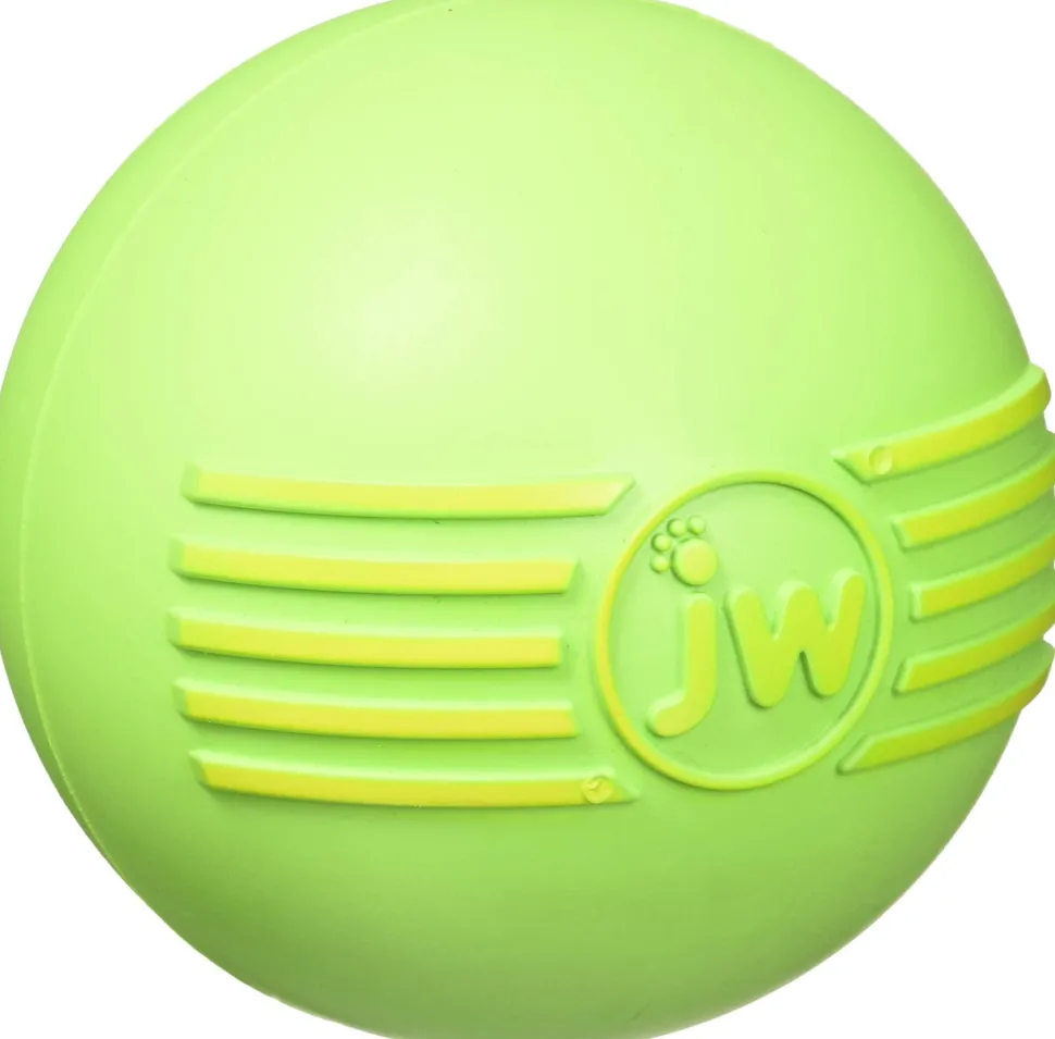 JW Pet iSqueak Ball Fetch Dog Toy - Large