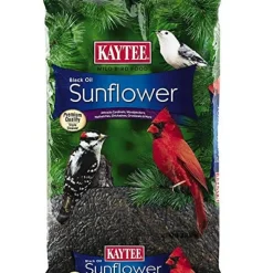 Kaytee Black Oil Sunflower Food - 10 lb