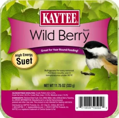 Kaytee Wild Berry High Energy Mini Suet - 11.75 Oz