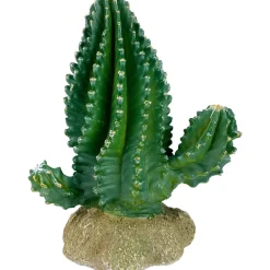 Komodo Cactus Plant Columnar - 5.9 in