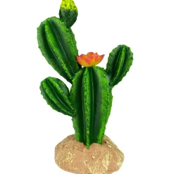 Komodo Cactus Plant Flower - 9 in