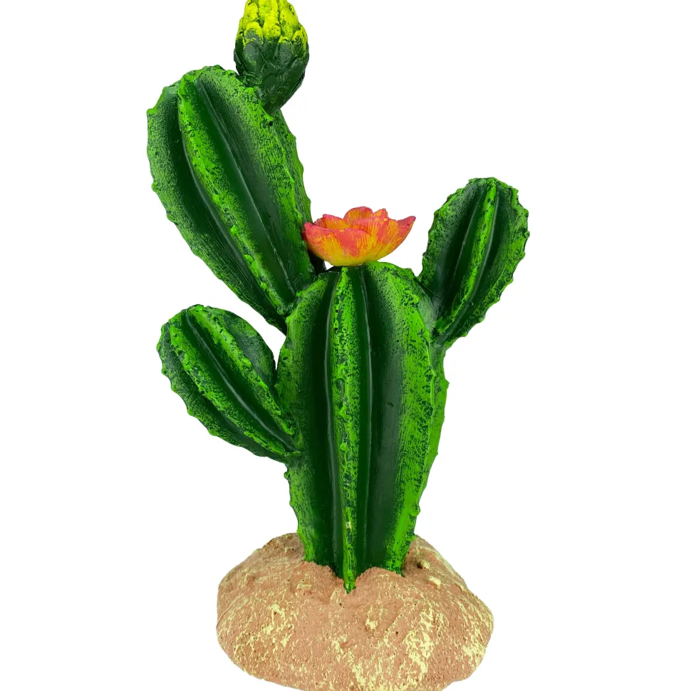 Komodo Cactus Plant Flower - 9 in