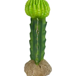 Komodo Cactus Plant Moon - 7.5 in