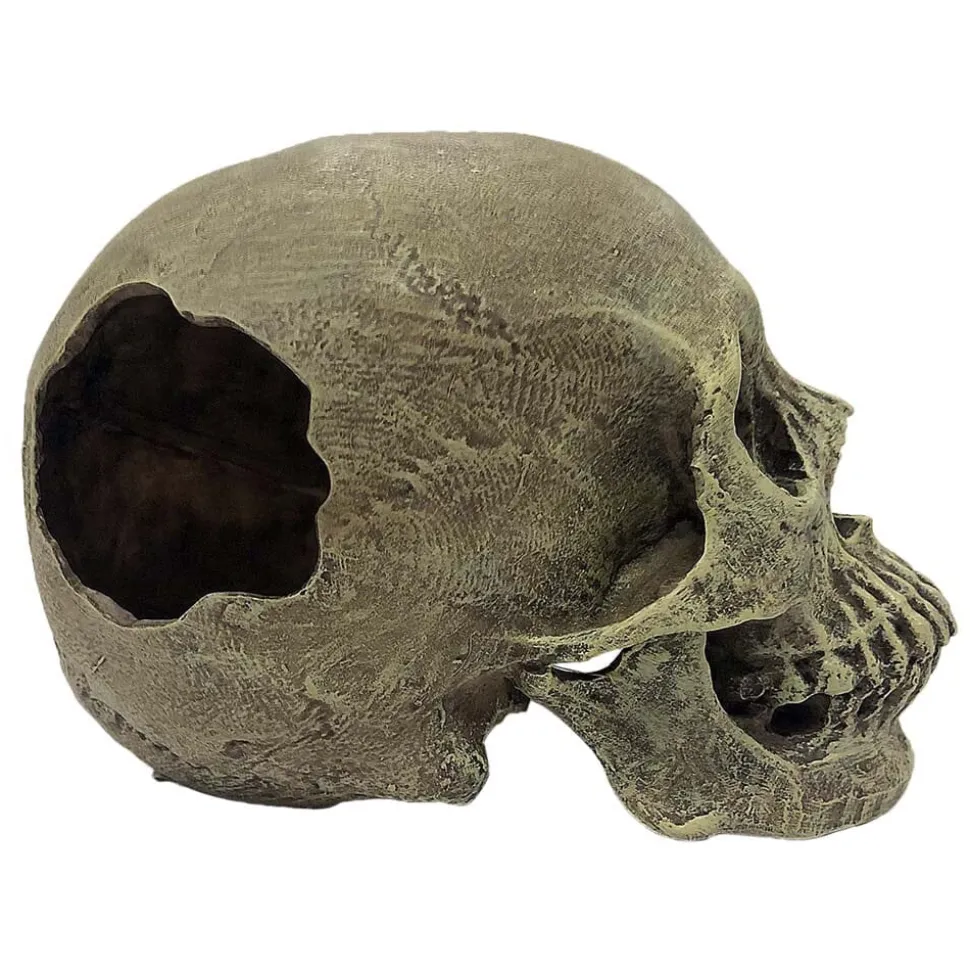 Komodo Full Human Skull Reptile Hideout - Gray - One Size