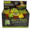 Komodo Jelly Pots Insect Food Fruit Flavor Display - 0.56 Oz - 40 Count