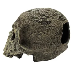 Komodo Textured Human Skull Reptile Hideout - Gray - One Size