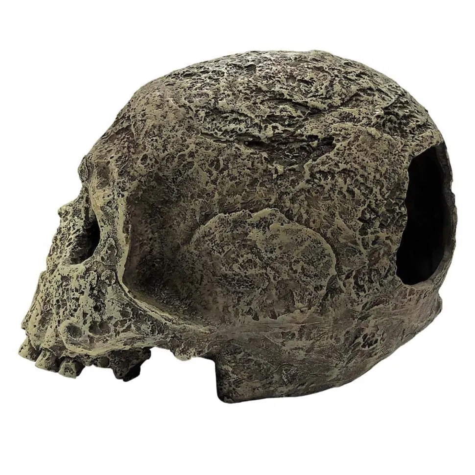 Komodo Textured Human Skull Reptile Hideout - Gray - One Size