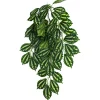 Komodo Two-Toned Leaf Hanging Plant - Small - 16 in