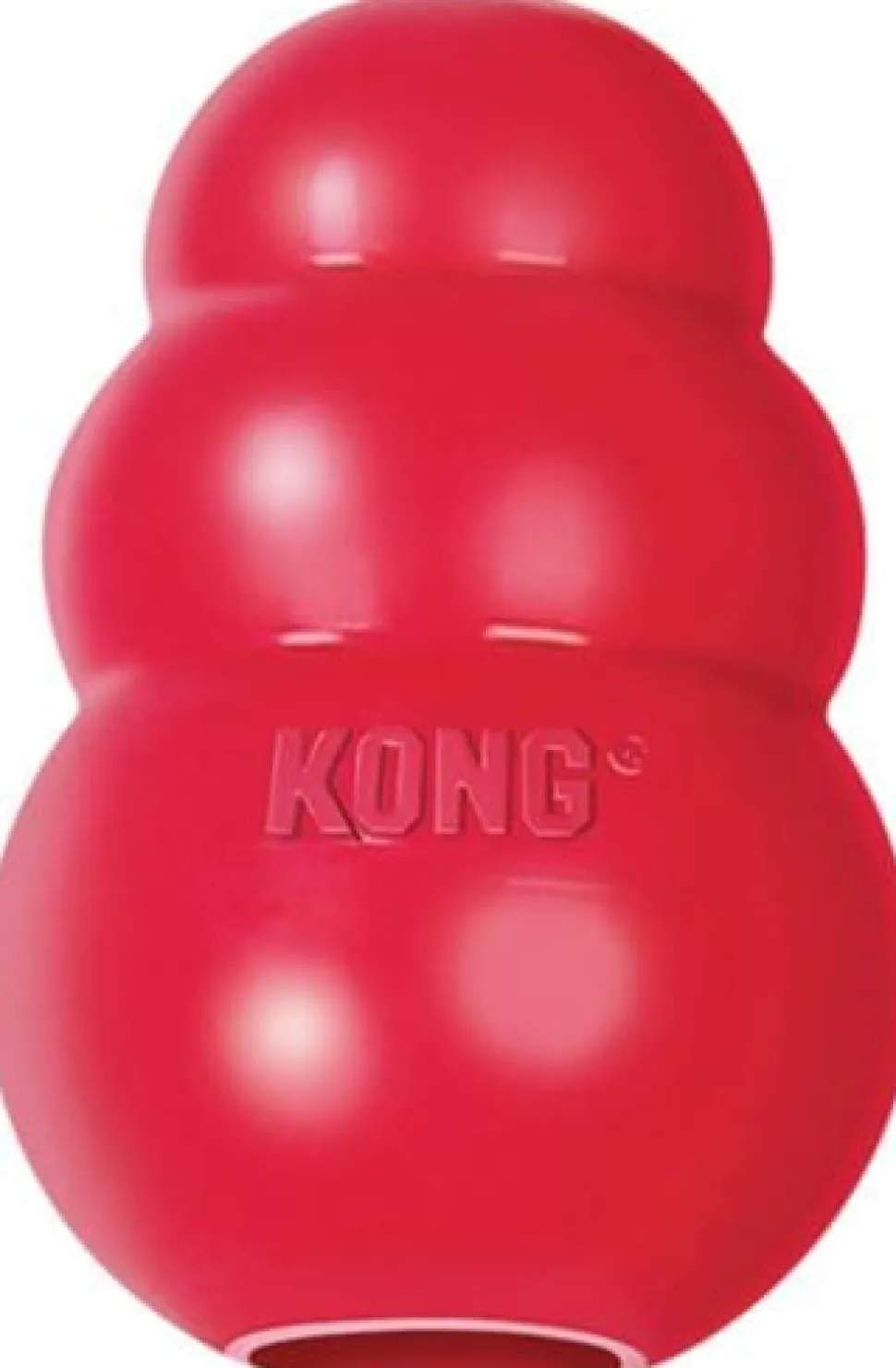 Kong Classic Chase Chew and Fetch Durable Natural Rubber Dog Toy - Red