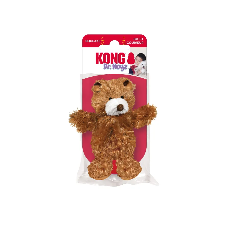 Kong Dr. Noys Teddy Bear Removable Squeaker and Plush Dog Toy - Medium
