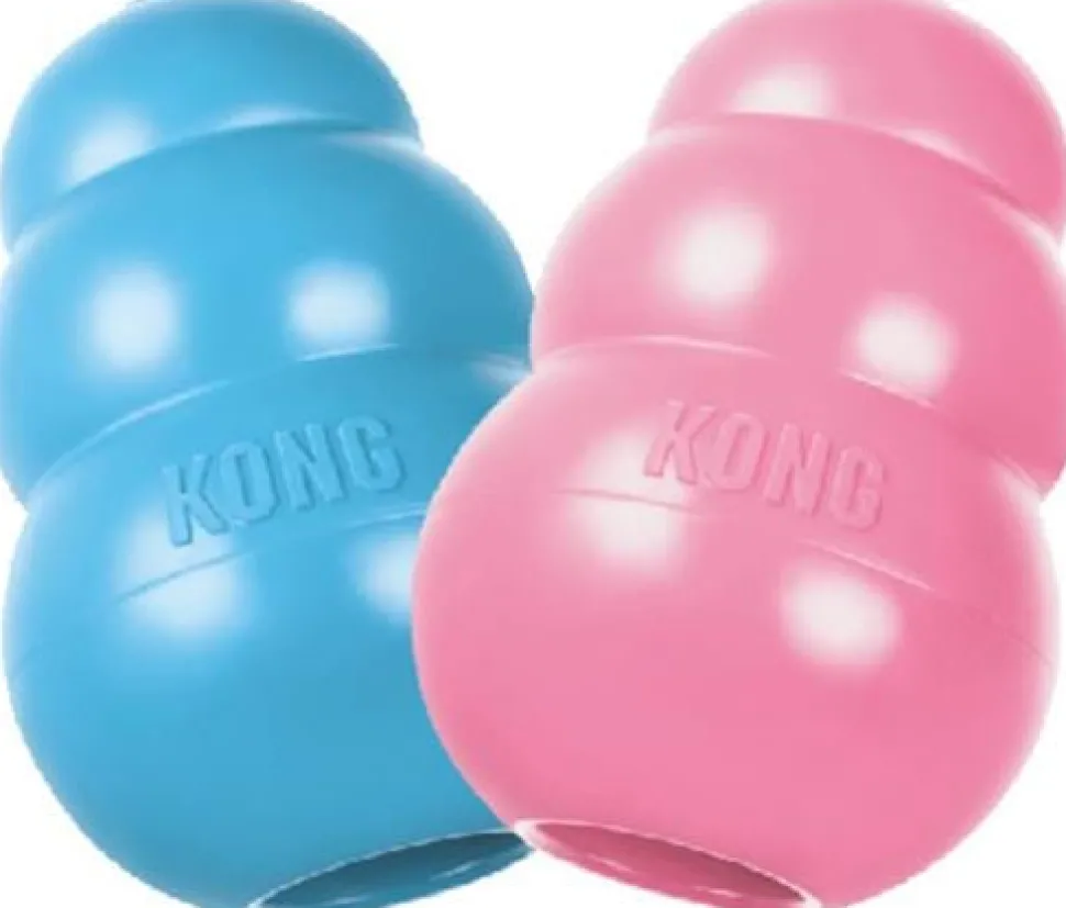 Kong Puppy Teething Treat Inserting Rubber Dog Toy - Medium
