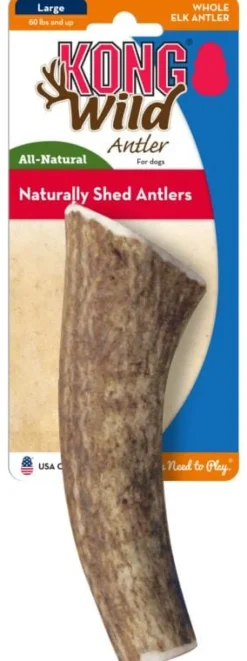 Kong Whole Wild Antler Natural Dog Chew - Small