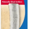 Kong Wild Antler Split Natural Dog Chews - Medium