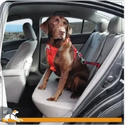 Kurgo Swivel Car Seatbelt Tether Safety Pet Leash - Red