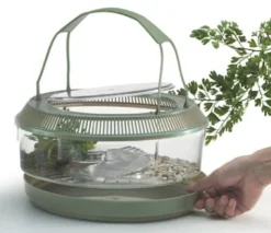 Lee's Firebelly Landing Habitat
