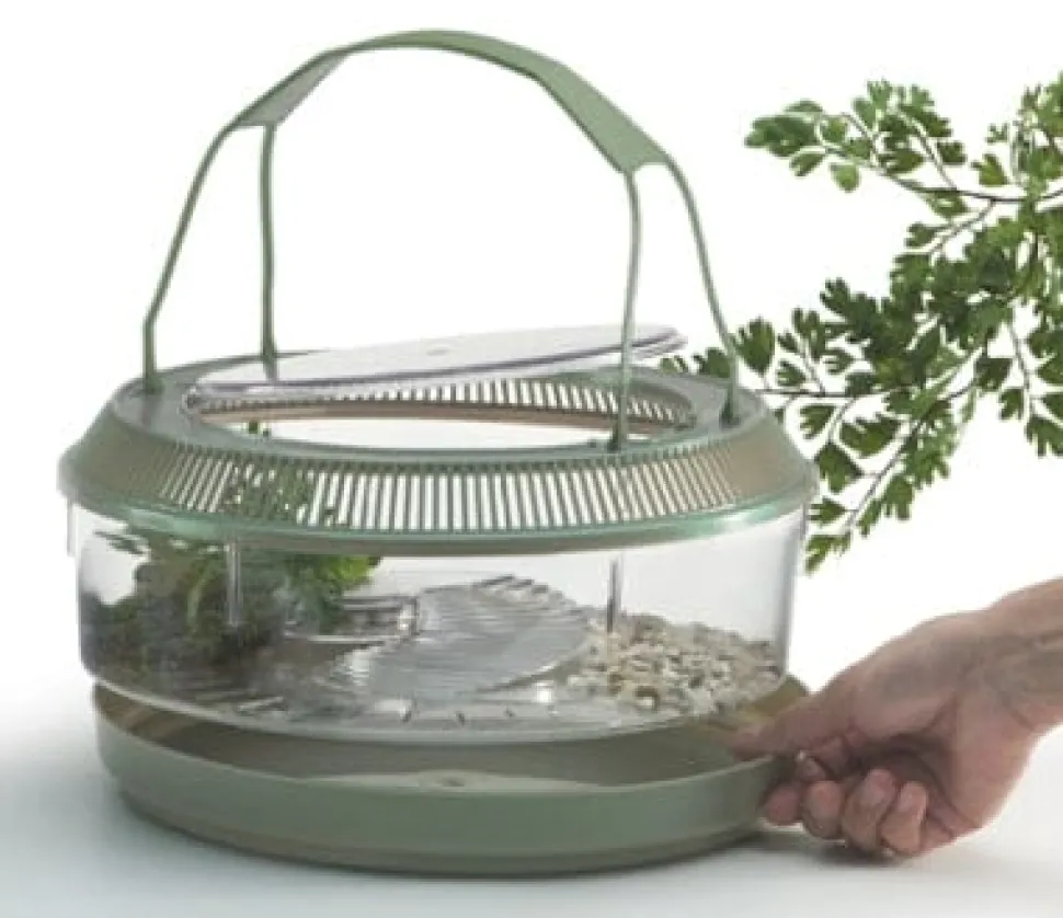 Lee's Firebelly Landing Habitat