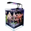 Lifegard Aquatics Betta Low Iron Ultra Clear Aquarium - 2.65 gal - 7.87" x 7.87"