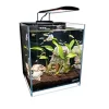 Lifegard Aquatics Low Iron Ultra Clear Aquarium - 5 gal - 9.84" x 9.84"