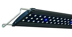 Lifegard Aquatics Ultra-Slim Full Spectrum LED Light - 36"
