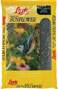 Lyric Black Oil Sunflower Sunflower Oil Wild Bird Food - 10 Lbs - 4 Pack