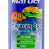 Mardel Maracyn Oxy Antifungal Medication - 16 fl Oz