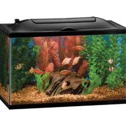 Marineland Bio-Wheel LED Aquarium Kit Aquatics Starter Kits - 10 Gal - 20 X 10 X 12