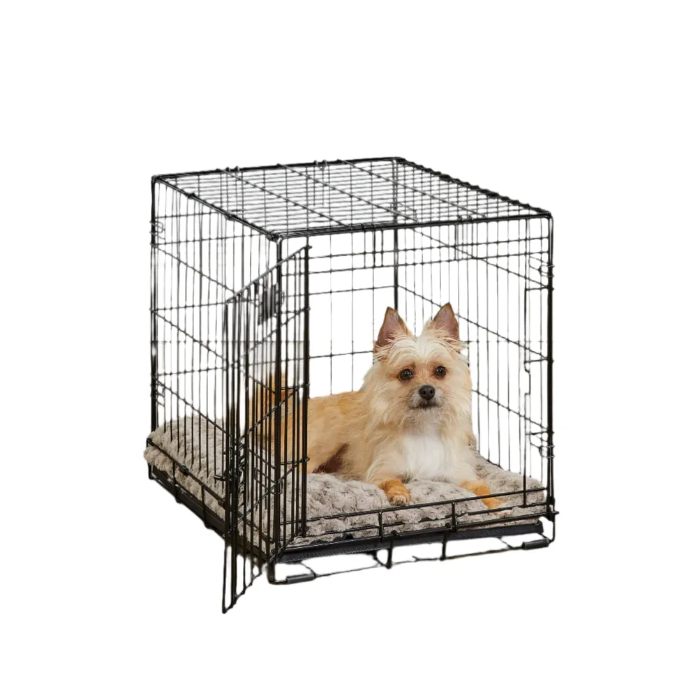 Midwest I-Crate Single Door Metal Folding Dog Crate with Divider Panel - 24" X 18" X 19" Inches