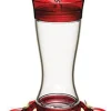 More Birds Garnet Glass Hummingbird Feeder with Ant Moat - Red - 20 Oz Cap