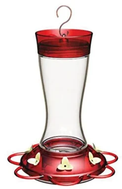 More Birds Garnet Glass Hummingbird Feeder with Ant Moat - Red - 20 Oz Cap