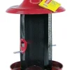 More Birds Twin Dual Compartment Sunflower or Thistle Wild Bird Feeder - Red - 3.3 Lbs Cap