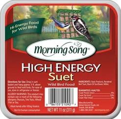 Morning Song High Energy Suet Cakes Wild Bird Food - 11 Oz - 12 Pack