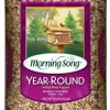 Morning Song Year-Round Wild Bird Food Seed Mix - 20 Lbs
