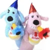 Multipet Birthday Loofa Squeak and Plush Dog Toy - 12" Inches