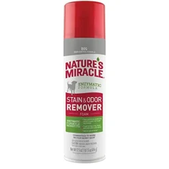 Nature's Mircale Dog Stain & Odor Remover Foam Gr Lbl - 17.5 Oz