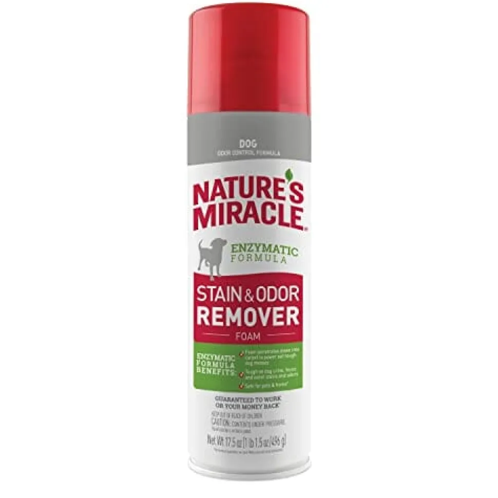 Nature's Mircale Dog Stain & Odor Remover Foam Gr Lbl - 17.5 Oz