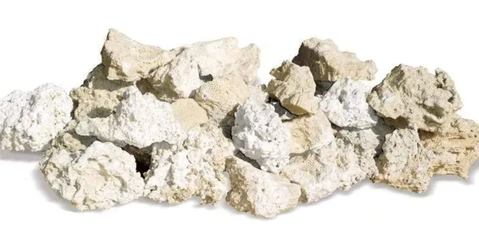 Nature's Ocean Rocks Pure Indonesian Coral Reef Rocks Aquarium Décor - 50 Lbs