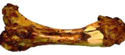 Nature's Own USA Meaty Dino Bone Natural Dog Chews - Beef - 20 In - 8 Pack