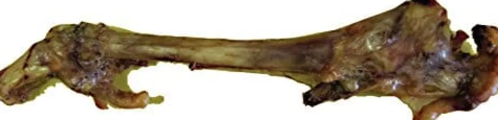 Nature's Own USA Smoked Lamb Trotter Natural Dog Chews - Lamb - 12 In - 25 Pack