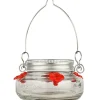 Nature's Way Mason Jar Hummingbird Feeder Pdq - Clear - 6 Oz Cap - 9 Pack