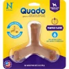 N-Bone QUADO USA Pumpkin Dog Bone Treat - Medium