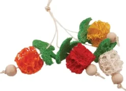 Nibbles Loofah Bunch of Fruits Chew Small Animal Chewy Treats - Small